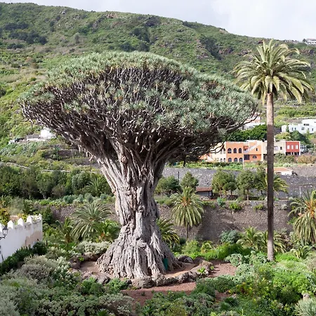 Tenohomes Oceanview With Balcony Apartmán San Marcos (Tenerife)
